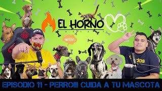 Ep11  EL HORNO 🔥  PERRO❗❗❗ CUIDA A TU MASCOTA 😀 [upl. by Joni]