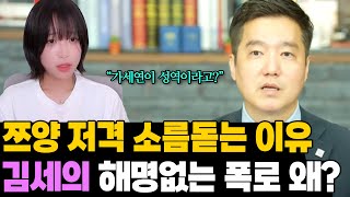 해명불가 김세의 쯔양 저격 소름돋는 내로남불 [upl. by Nnair]