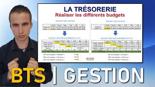 Révisions MGUC  Comment calculer les budgets des encaissements et décaissements  AIDE BTS MUC [upl. by Olodort636]