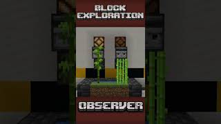 The Observer explained  Block Exploration Video minecrafttutorial redstone [upl. by Sualohcin]