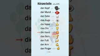 Lernen der Körperteile auf Deutsch🇩🇪📚A1ampA2 آموزش اعضای بدن به آلمانیeducation deutsch زبان [upl. by Sirrad]