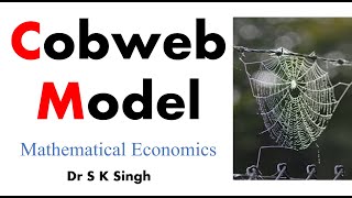 Cobweb ModelTheory In Hindi [upl. by Esdras555]