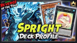 Spright Deck Profile  Combo Tutorial POST TERMINAL REVENGE  July 2024  YuGiOh [upl. by Adnert]