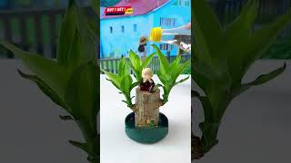 Lucky Brazil Wood Potted Plant [upl. by Kiri]