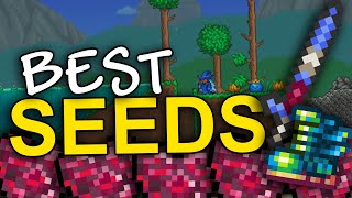 The BEST Terraria seeds 1449 [upl. by Moffitt]