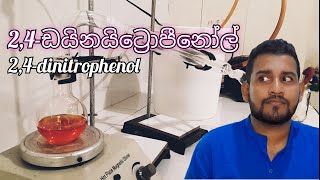 24dinitrophenol  Sinhala [upl. by Yasmeen]