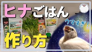 ヒナ文鳥のさし餌の作り方【Java sparrow】 [upl. by Attela]