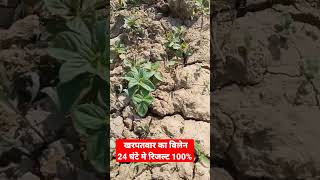 24घंटे में खरपतवार का सम्पूर्ण सफाया weed control [upl. by Rannug438]