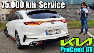 Kia ProCeed GT  75000 km Service  Wartung Kosten Daten Infos Meinung Owners Review deutsch [upl. by Neysa283]