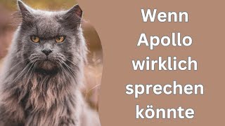 sprechende Katzen und Kalender Update [upl. by Cheng199]