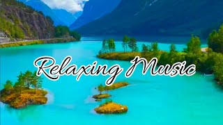 Beautiful Relaxing Music  Reflexology Meditasi yoga Stress Relief Sleep Calming Music LIVE [upl. by Brinna]