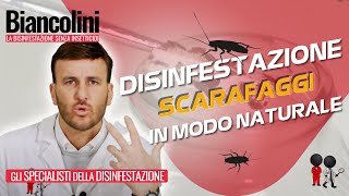 ​📌​Disinfestazione naturale fai da te Eliminare scarafaggi in casa tua grazie ad un GEL speciale [upl. by Perlie]