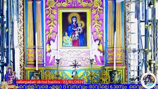 22 JANUARY 2024  0630AM  LIVE HOLY MASS  വിശുദ്ധ കുർബാന  VALLARPADAM SHRINE BASILICA [upl. by Anahsahs]