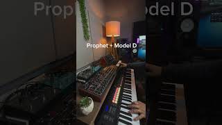 Prophet  Model D [upl. by Nerrawed]