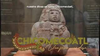 Chicomecóatl Una pieza una diosa En el Museo Comunitario Culhuacán [upl. by Alyat]