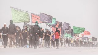 LIVE 🔴 Arbaeen Walk 2023  Najaf to Karbala  Safar E Ishq E Hussain  17 Safar 20231445 H [upl. by Radloff251]