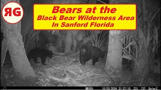 The REAL Florida Wildlife 10524 BBWA [upl. by Banwell]