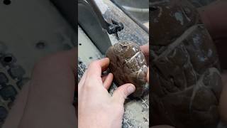 Slicing septarian “Lightning Stone” with SAW [upl. by Iene]