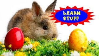 Learn Stuff Ep 2  Why Does Easter Always Change Dates [upl. by Ayisan]