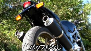 【VTR250】 SANSEI RACING マフラー 排気音 【exhaust sound】 [upl. by Nisen970]