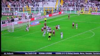 TorinoJuventus 01 SKY HD  Sintesi  Highlights  All Goals  © Serie A 20132014 [upl. by Yancey]