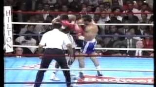 Michael Nunn vs Juan Domingo Roldan 33 [upl. by Nomihs763]