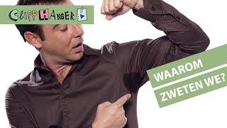 Waarom zweten we [upl. by Anilet]