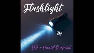 DJ David Guépard  Flashlight [upl. by Nnairahs]