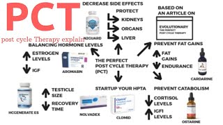 Post Cycle Therapy PCT Explained in Hindi  Best Way To Do PCT For STEROIDS And SARMS All ABOUT PCT [upl. by Eciuqram]