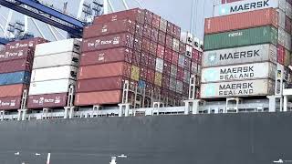 Huge Cargo Ships Unloading Shipping Containers [upl. by Maridel724]