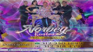 El Baile del Alacrán Norbey Bustos y Su Orquesta Rumba Star [upl. by Oilasor]