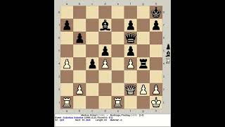 Markus Robert vs Bodiroga Predrag  Subotica Chess 1999 Serbia [upl. by Pineda]