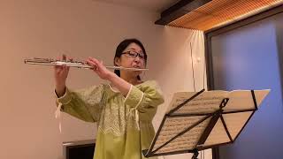 Telemann Flute Sonata B dur TWV41B3 [upl. by Yerfej411]