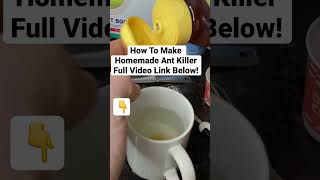 How To Make Homemade ANT KILLER with BORAX shorts [upl. by Emie]