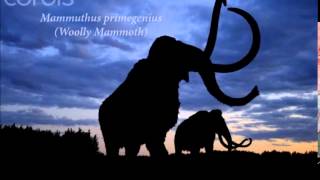 Prehistoric Predators Mammuthus [upl. by Ateuqahs]