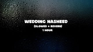 Wedding Nasheed 1 Hour  Muhammad Al Muqit  Slowed  Reverb [upl. by Bourne297]