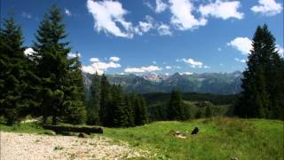 SpitzbubenPolka  Allgäu  Volksmusik  steirische Harmonika [upl. by Amarette542]