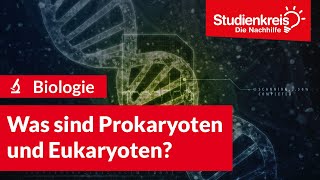 Was sind Prokaryoten und Eukaryoten  Biologie verstehen mit dem Studienkreis [upl. by Aicargatla]