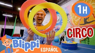 Blippi aprende acrobacias en el circo🎪 Blippi Español  Videos educativos  Aprende y Juega [upl. by Etteval]