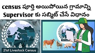 census పూర్తి అయిన గ్రామాన్ని Supervisor కు సబ్మిట్ చేసే విధానం submission census completed village [upl. by Barrett485]