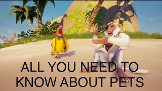 Sea of thieves Everything you need to know about Pets [upl. by Dasha]