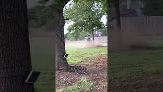 Emu Tries to Attack Lawn Mowing Man While He Mowed the Grass  1370387 [upl. by Tedra]