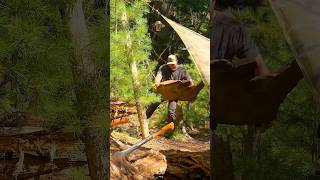 Solo camp in wilderness solowildcamping camp solowildcamp outdoorcamping wildcamp bushcraft [upl. by Enirhtac]