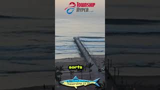 Fathers Day in Durban with Ocean Conditions by Adam Kamdar durban fishing sardine run sardines [upl. by Matrona]