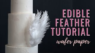 How to make Wafer Paper Feathers  Florea Cakes [upl. by Bettine]