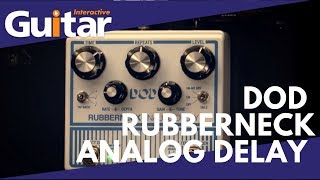 DOD Rubberneck Analog Delay  Review [upl. by Svirad]