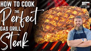 How to Cook the PERFECT Gas Grill Steak [upl. by Ronalda]