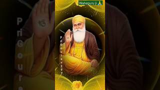 Nankana vekhan nu🙏🌹🙏shortsyoutubeshorts shabadgurbani viral [upl. by Etnohs]