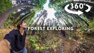 FOREST EXPLORING 360 [upl. by Ymeon]