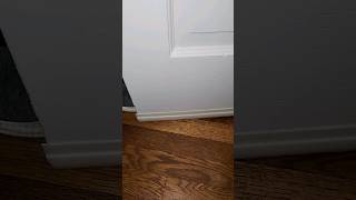 Holikme Door Draft Stopper Fast Review [upl. by Danita]